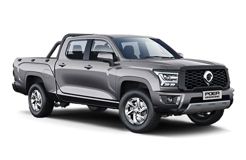 Great Wall Poer King Kong I