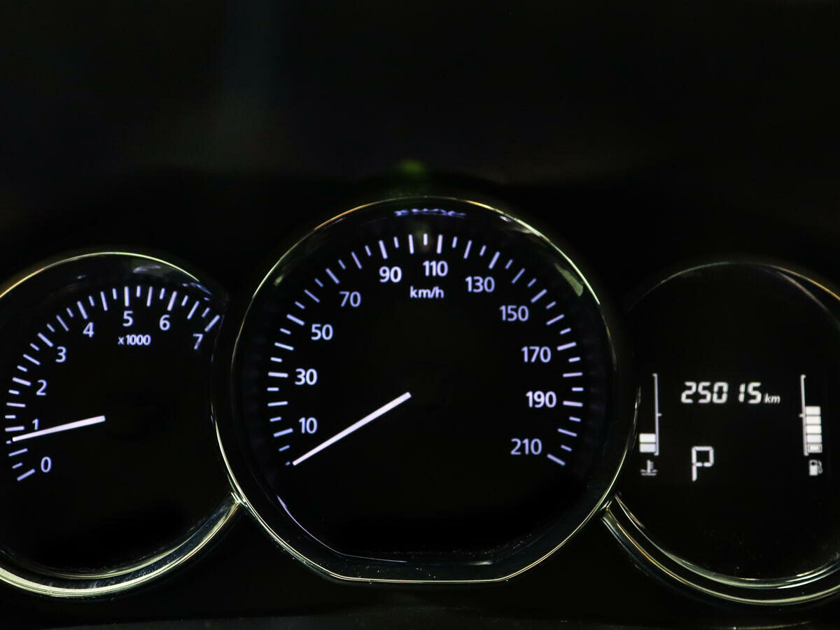 Nissan Terrano, 2019