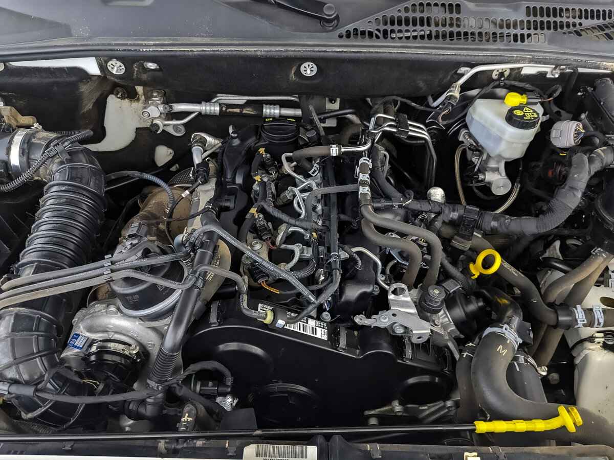 Volkswagen Amarok, 2020